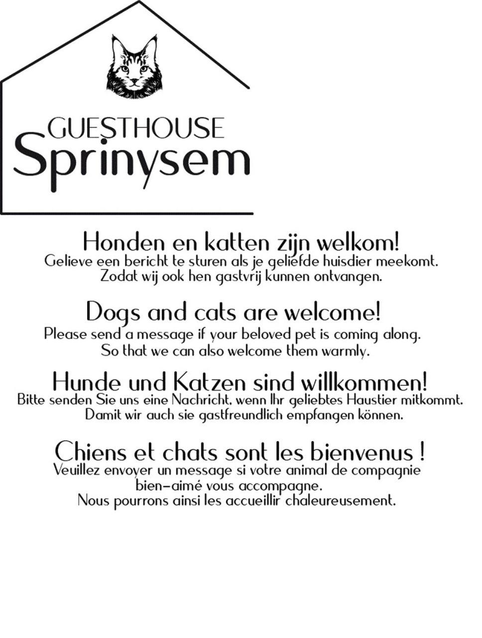 Guesthouse Sprinysem Zedelgem Extérieur photo